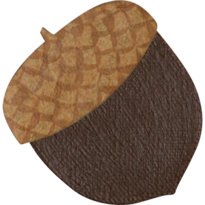 Seed ($30 for 1 month)